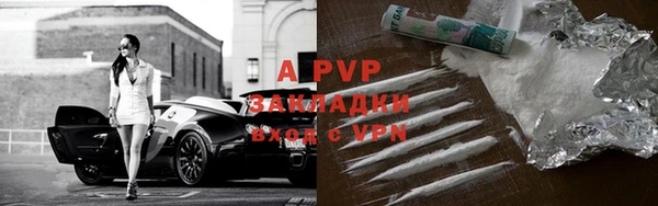 крисы Абаза