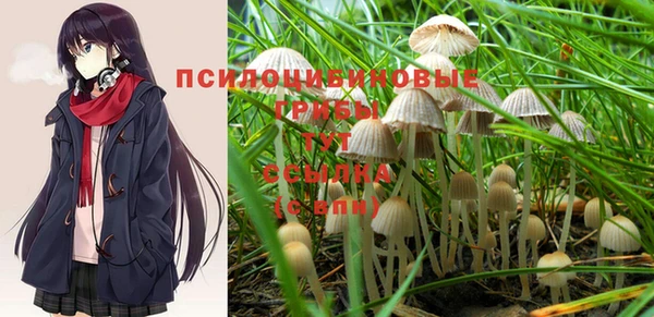 бошки Алексеевка