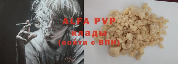 крисы Абаза