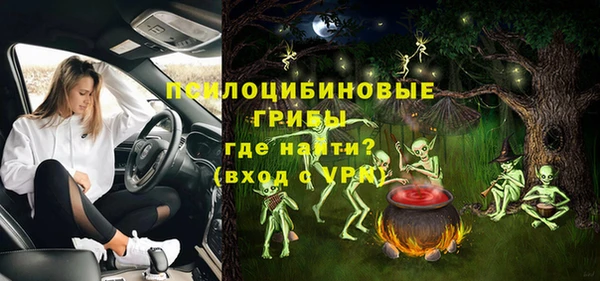 ПСИЛОЦИБИНОВЫЕ ГРИБЫ Алзамай