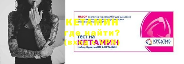 крисы Абаза