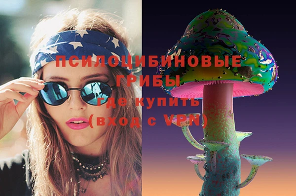 ПСИЛОЦИБИНОВЫЕ ГРИБЫ Алзамай