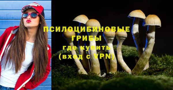 не бодяженный Абдулино